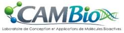 Cambio